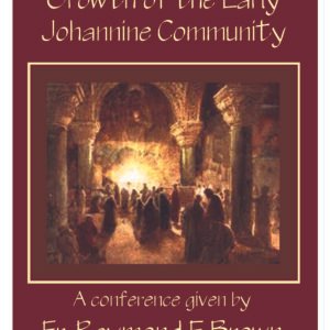 Origins and Growth of the early Johannine community